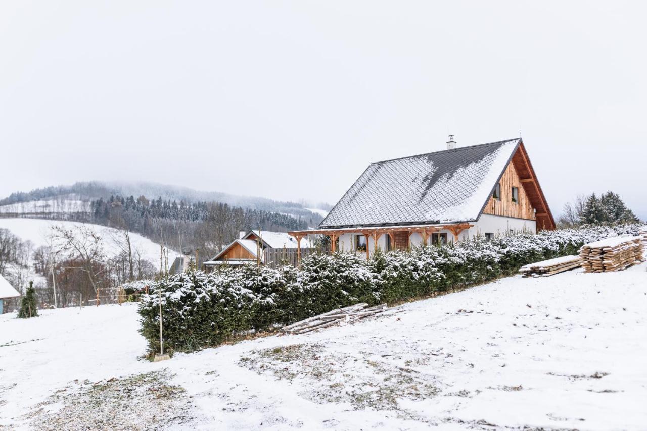 Apartmany U Mateje Dolni Morava Bagian luar foto