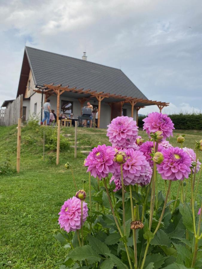 Apartmany U Mateje Dolni Morava Bagian luar foto