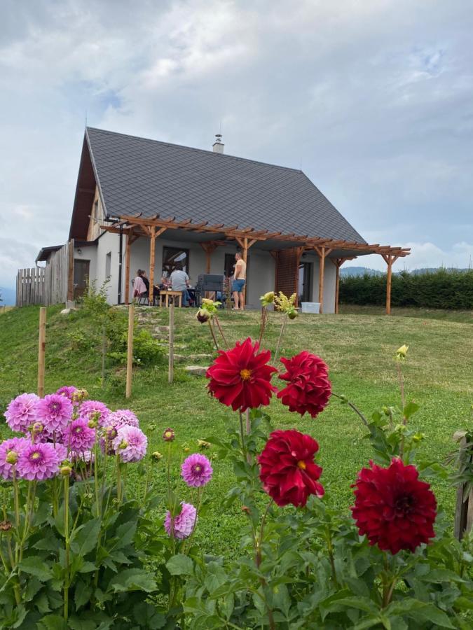 Apartmany U Mateje Dolni Morava Bagian luar foto