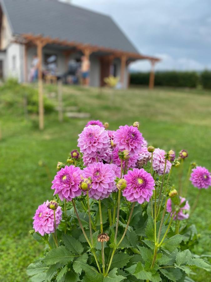 Apartmany U Mateje Dolni Morava Bagian luar foto