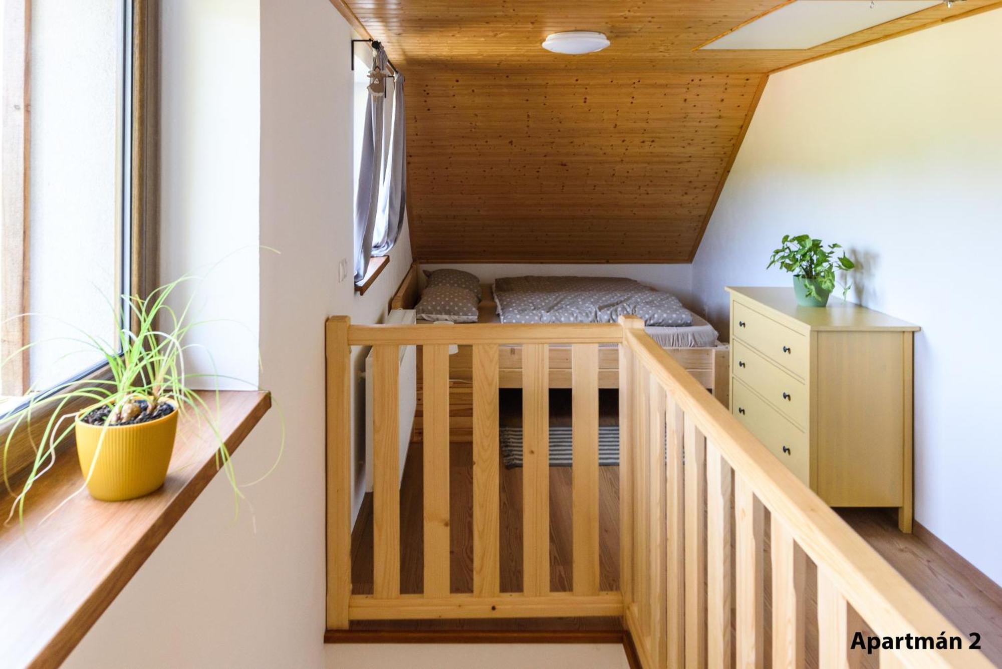 Apartmany U Mateje Dolni Morava Bagian luar foto