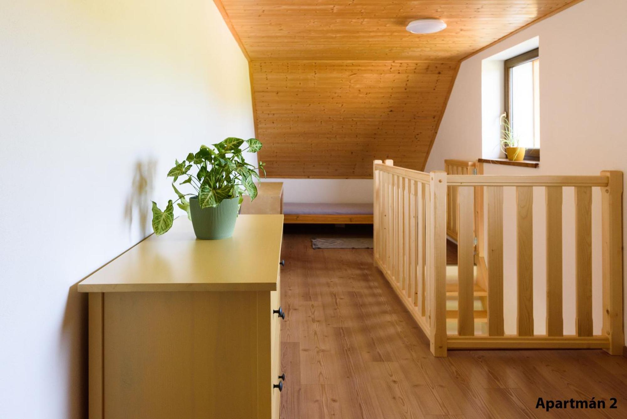 Apartmany U Mateje Dolni Morava Bagian luar foto